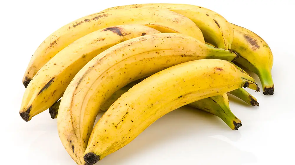 PLATANO MACHO