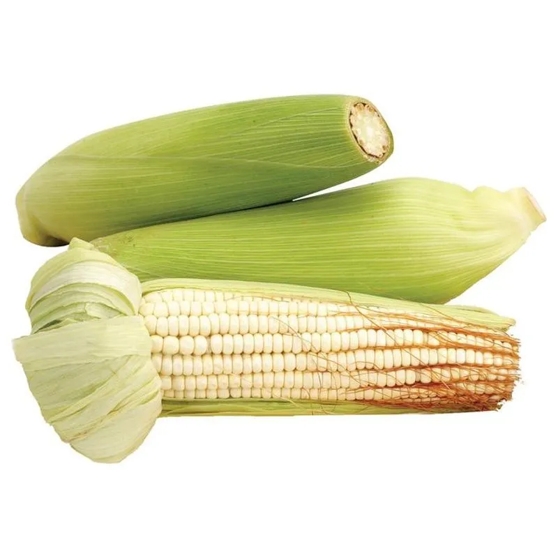ELOTE BLANCO