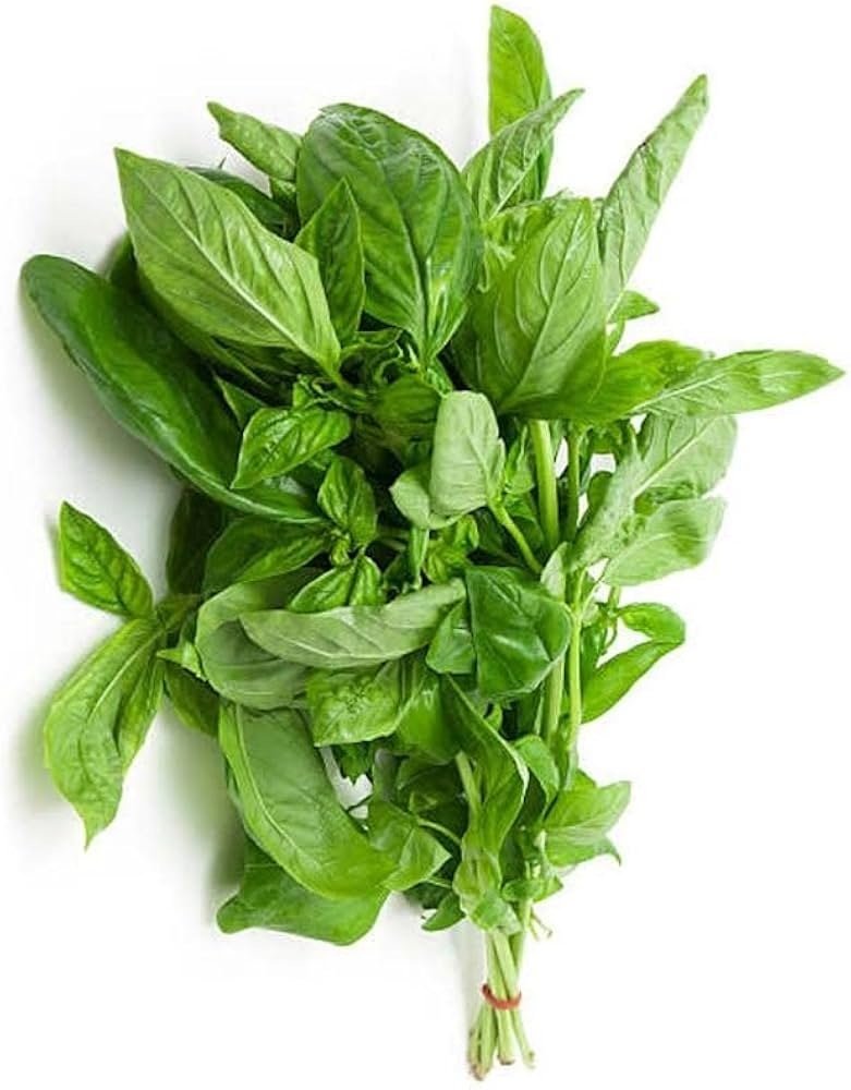 ALABHACA ITALIANA