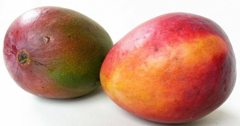 MANGO BOLA